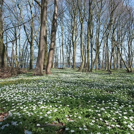 住宿加早餐酒店 Haus Ueberland 3*